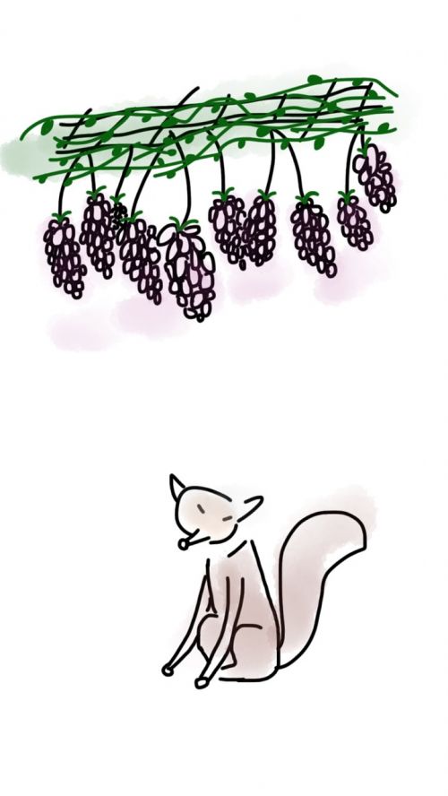 fox grapes vine