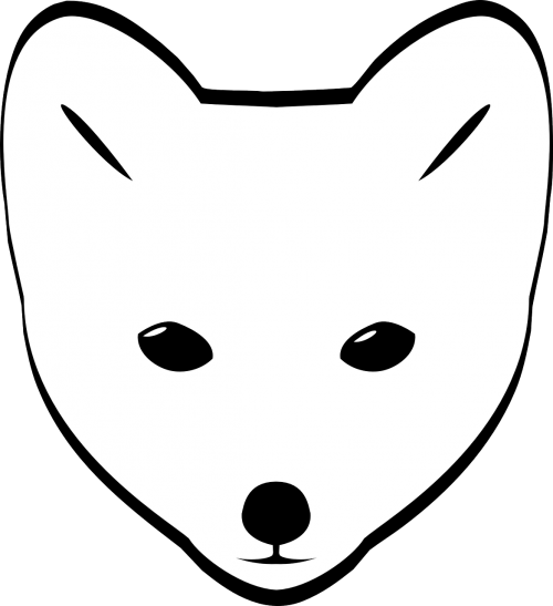 fox animal arctic