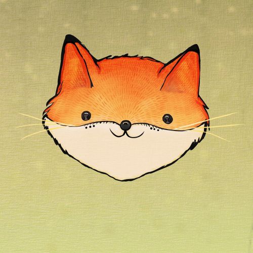 fox cute fox orange