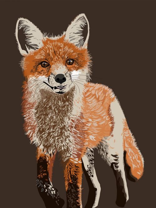 fox wildlife animal