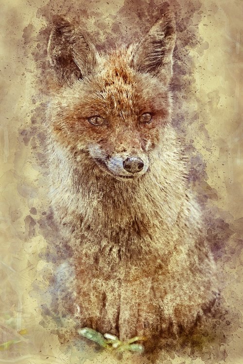 fox  crafty  wild