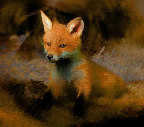 fox  wildlife  kit