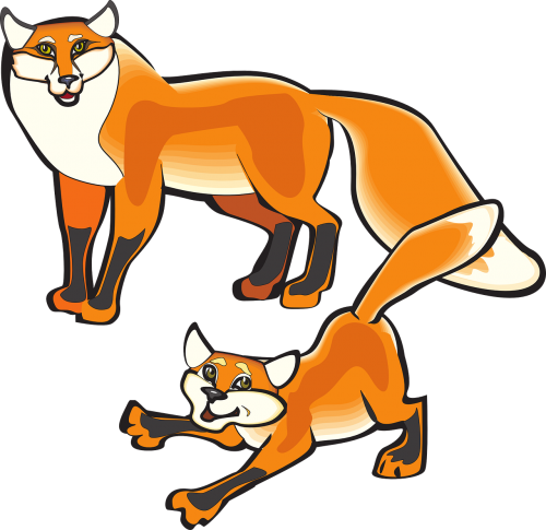 fox parent animal