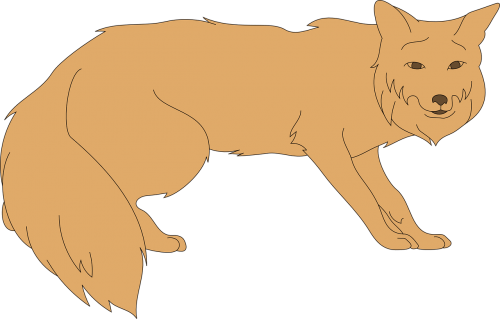fox animal tail