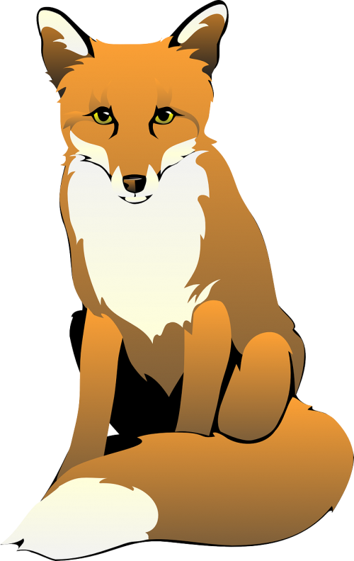 fox animal mammal