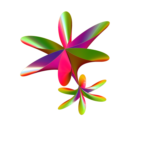 flower fractal mysterie