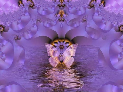 fractal reflection graphic