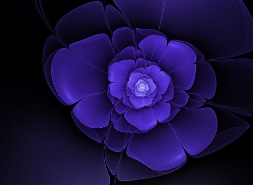 fractal flower blue