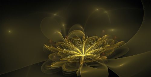 fractal flower bloom