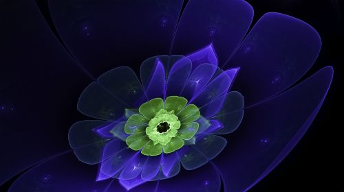 fractal flower floral