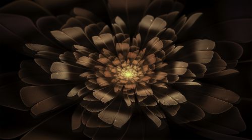 fractal flower floral