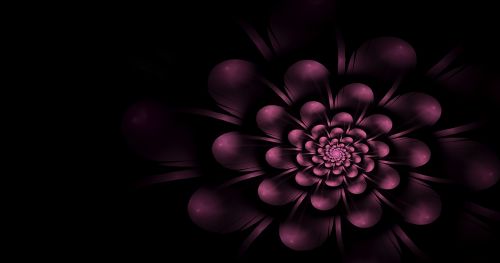 fractal flower lilac