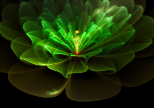 fractal flower green