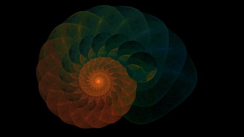 fractal  pattern  nautilus