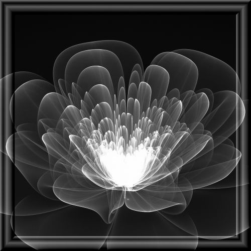 Fractal Flower