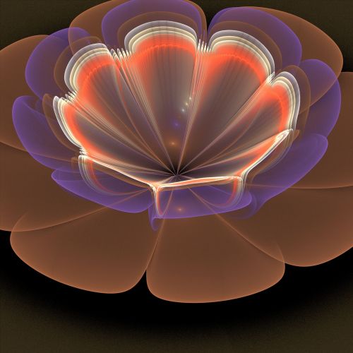 Fractal Flower 6