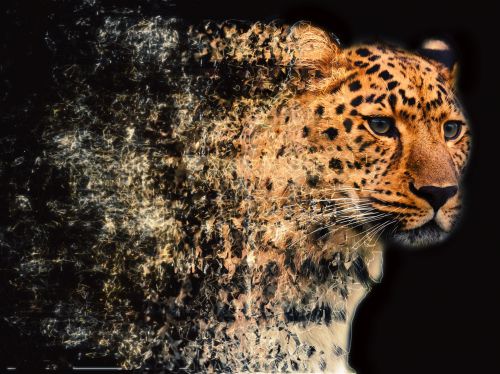 Fractal Shatter Leopard Head