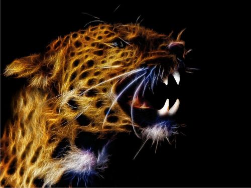 fractalius photo art leopard