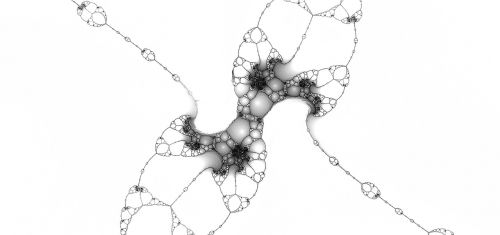 fractals cells autopsy