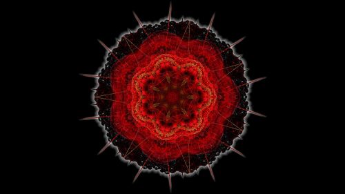 fractals apophysis rose