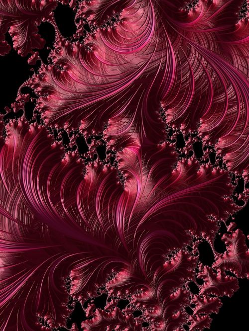 fractals red complex