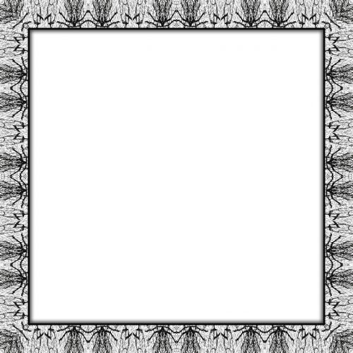 frame photo frame portrait