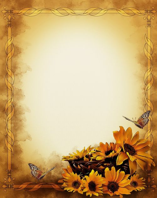 frame butterflies sunflowers
