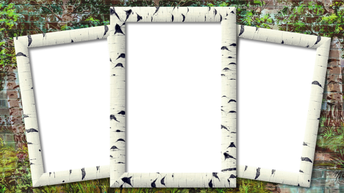 frame photo frame birch