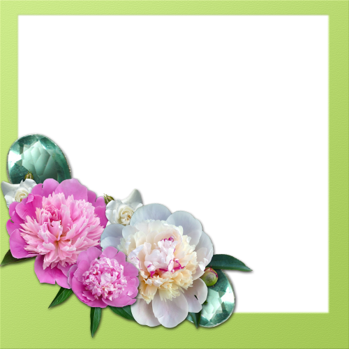 frame peony roses