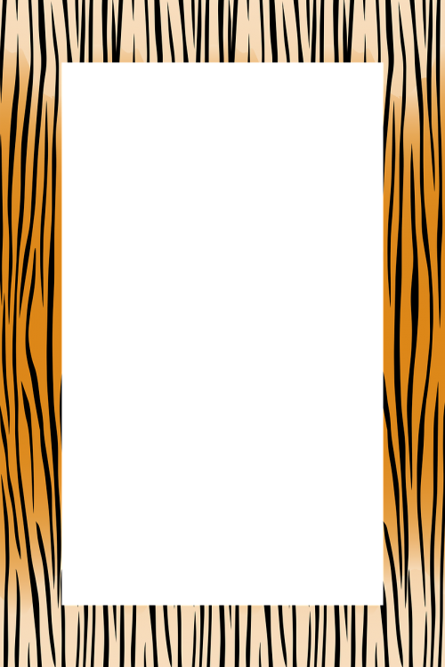 frame tiger decoration