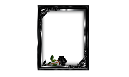 frame black rose picture design