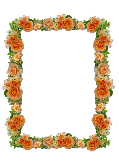 frame roses wedding