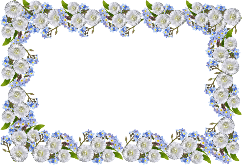 frame daisies forget me not
