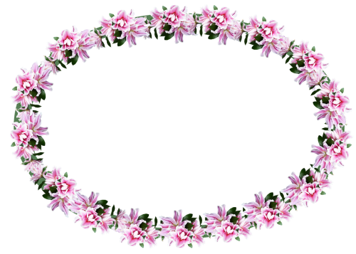 frame lilies pink floral