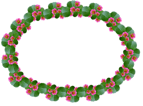 frame strawberry pink