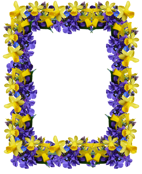 frame spring flowers