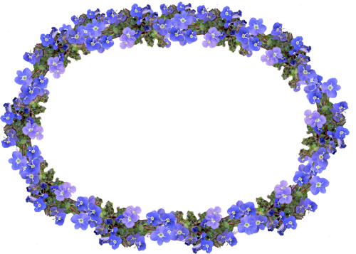 frame blue floral