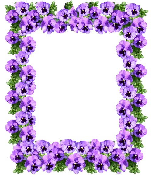 frame pansy floral