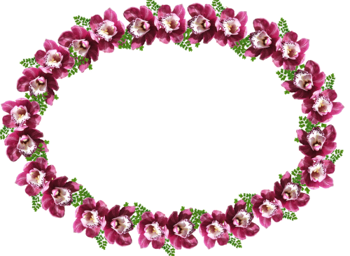 frame border orchid