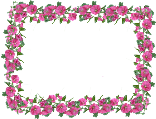 frame border hollyhock