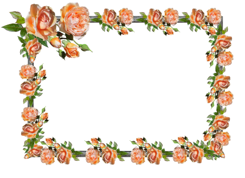 frame border rose