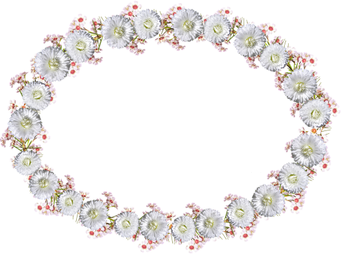 frame border daisy