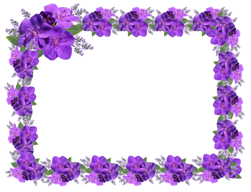 frame border floral purple