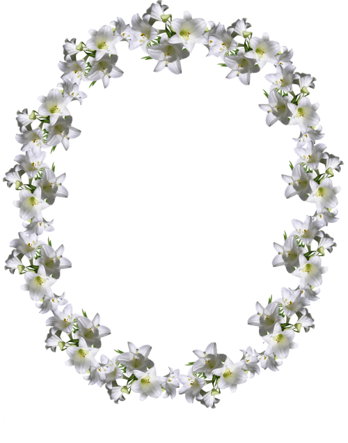 frame border white lily