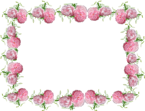 frame border roses