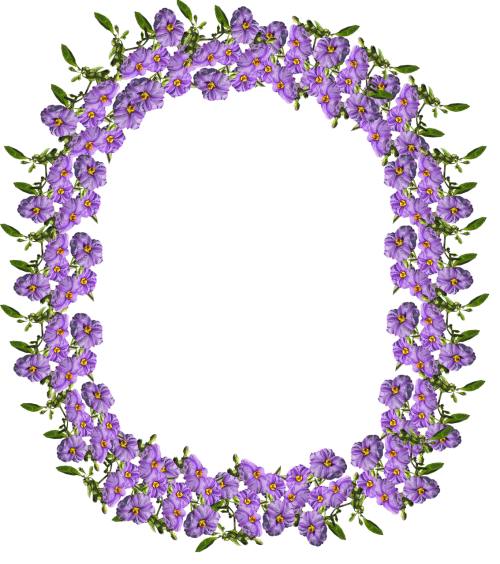 frame border purple