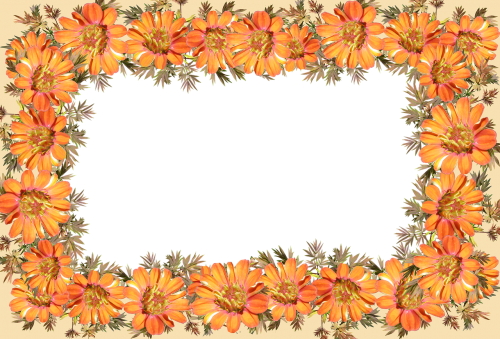 frame border decorative