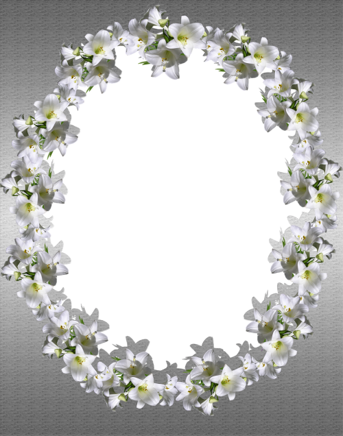 frame silver floral