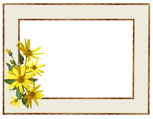 frame border yellow flower