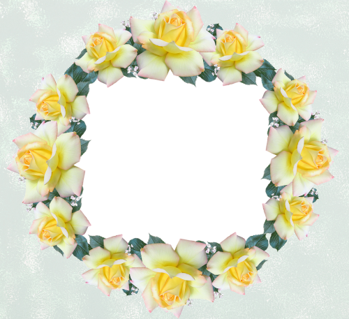 frame border rose